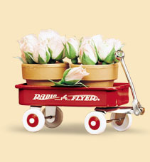 Radio Flyer 1 Miniature Classic Wagon